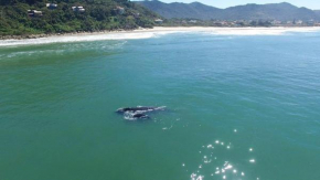 Praia Verde Mar - 3min da areia, Paraíso perfeito, Natureza e Paz